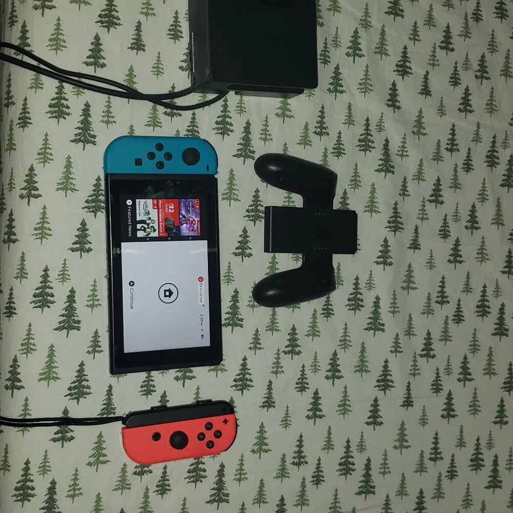 Nintendo Switch (Lightly Used)